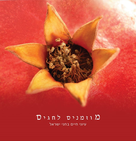 מוזמנים לחגים | סוסיא