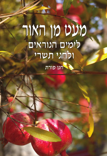 מעט מן האור חגי תשרי | הרב חנן פורת