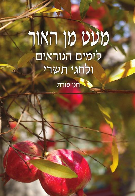 מעט מן האור חגי תשרי | הרב חנן פורת