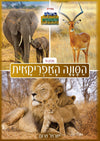 העולם המופלא - הסונה האפריקאית | ישראל מרום