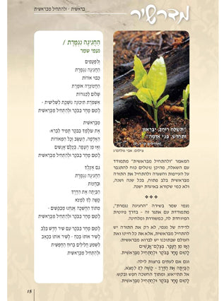 מעט מן האור- בראשית | הרב חנן פורת
