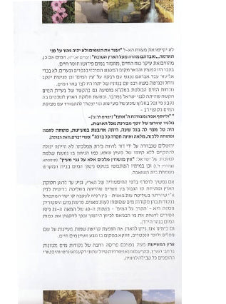 ארץ המעיינות מרכז-דרום | אורי מאור