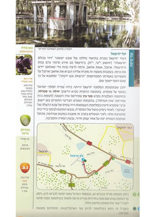 ארץ המעיינות מרכז-דרום | אורי מאור