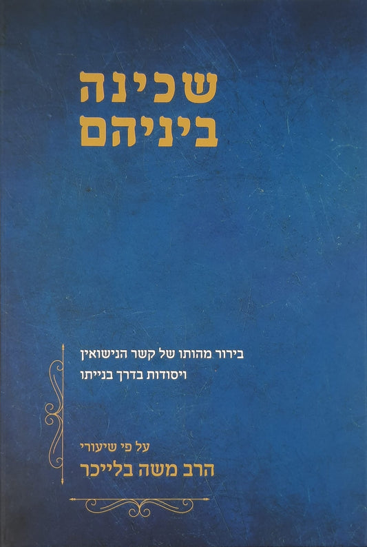 שכינה ביניהם | הרב משה בלייכר